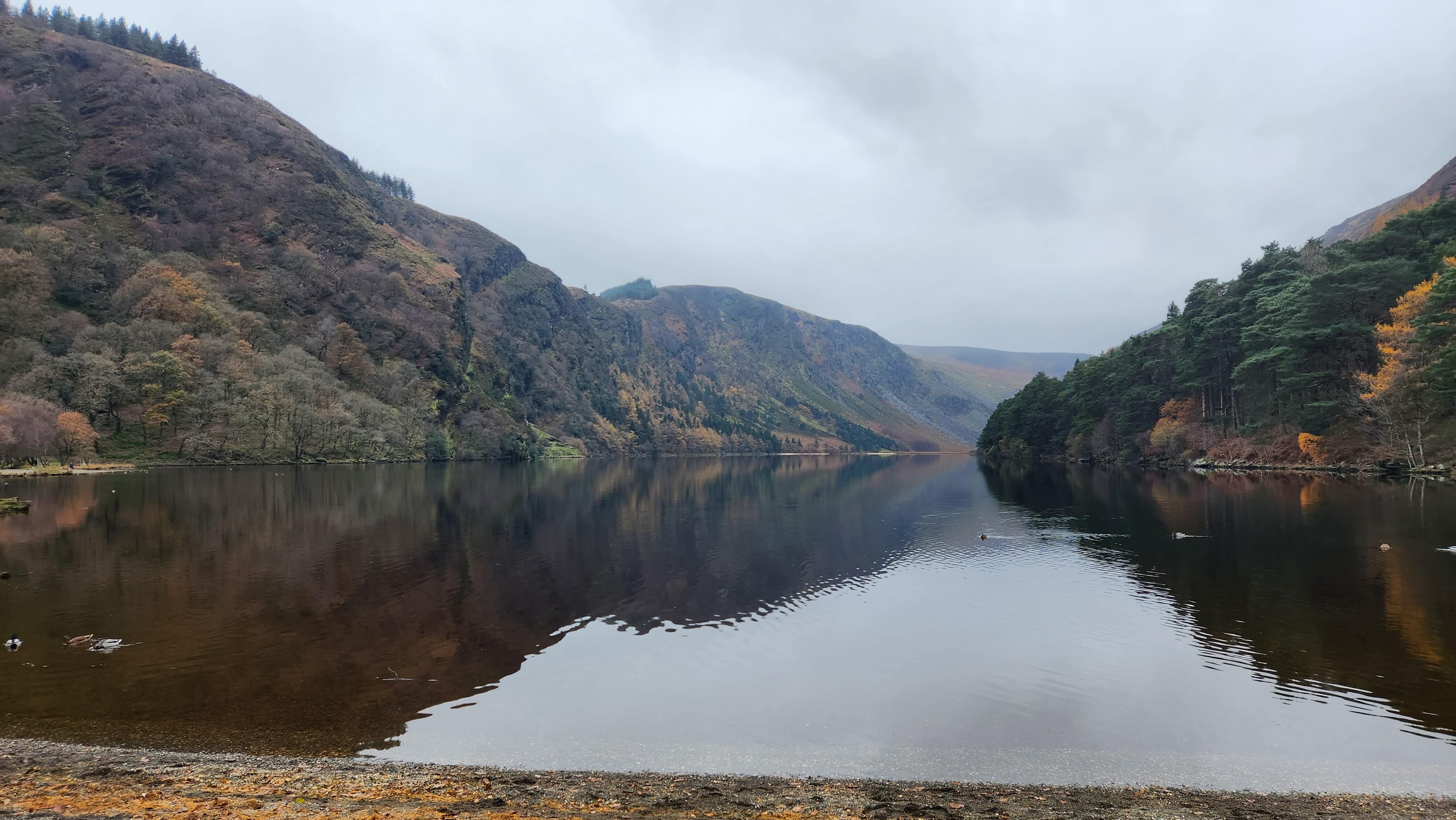 Wicklow