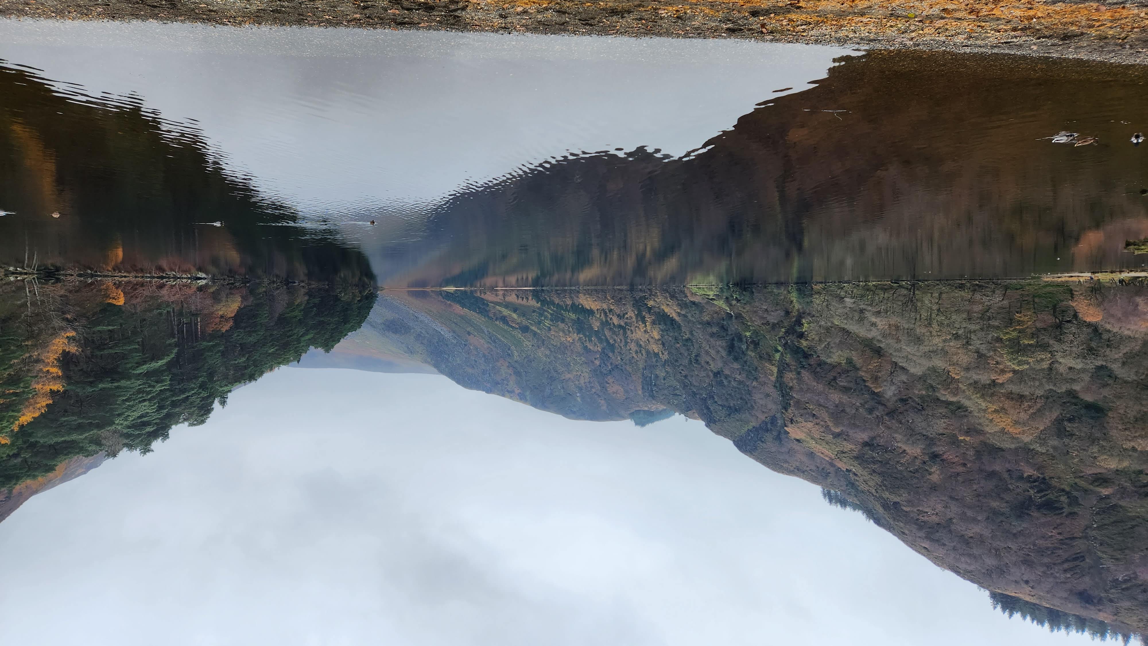 Wicklow